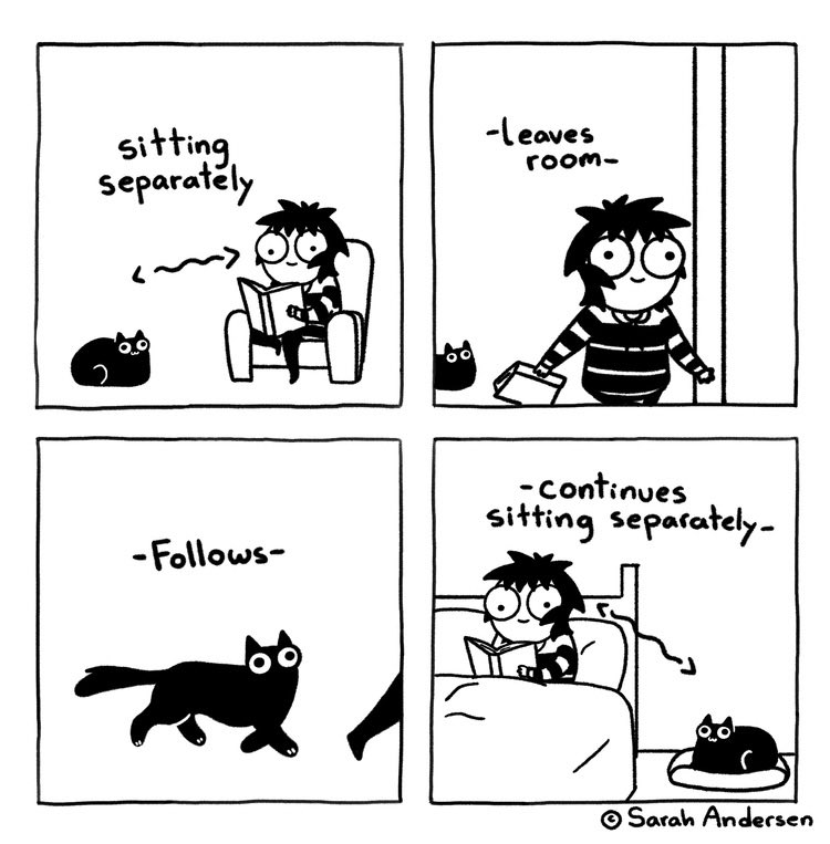scribbles_sarah's tweet photo. Sarah’s Scribbles By Sarah Andersen , 11-05-22 https://t.co/aoqw5vPy9c
