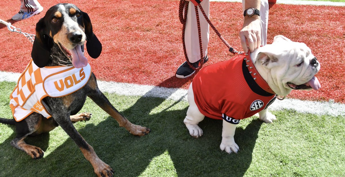 The very best part of Tennessee-Georgia week.