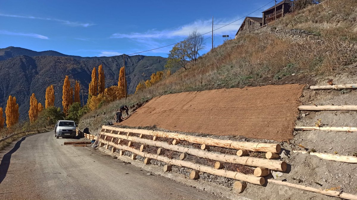 A través dels recursos naturals locals també es pot aconseguir frenar l'erosió i alhora fixar carboni: realitzem una obra de #bioenginyeria demostrativa junt amb @ProjecteBoscos a l'accés a Casa Bringué de Ginestarre amb fusta de pi negre #km0 d'una acció millora hàbitat gall fer