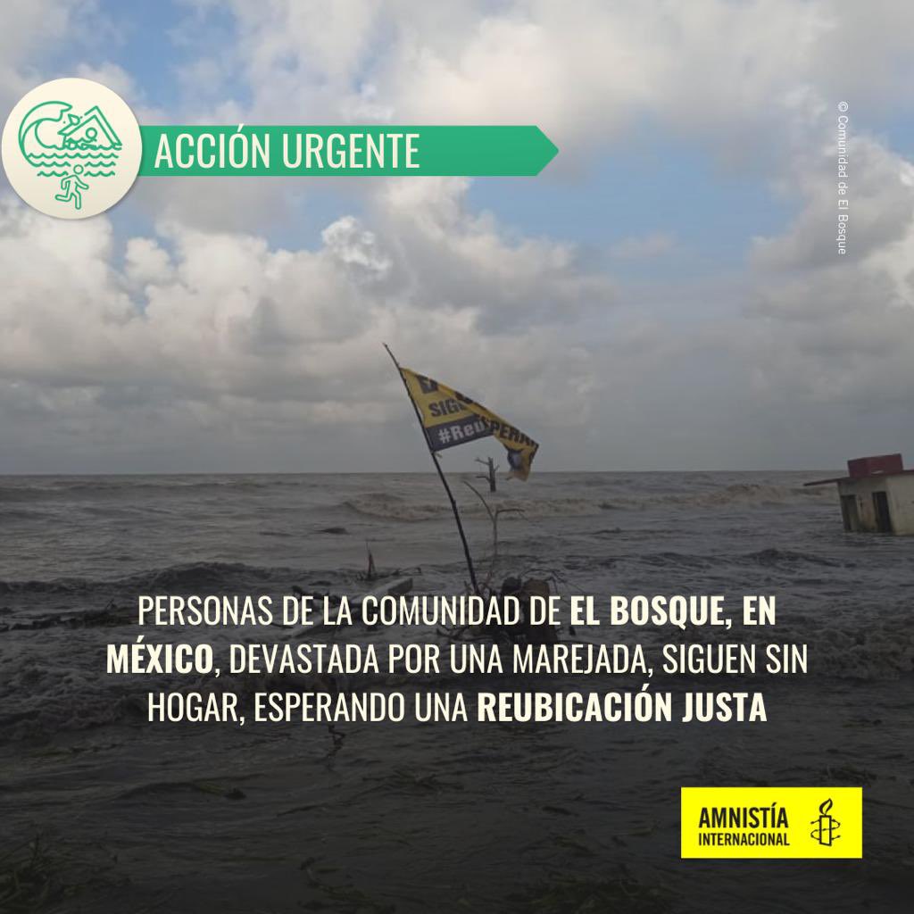 amnistiamexico's tweet photo. Tras 2 semanas de la marejada que devastó El Bosque, en Tabasco, el gobierno mexicano desalojó a las personas del albergue que les había provisto, regresándolas a la comunidad, donde sus hogares quedaron destruidos. 

Exigimos al presidente @lopezobrador que garantice los derechos humanos de las personas de El Bosque, incluyendo el derecho a la vivienda, y que agilice el proceso para asegurarles una #ReubicaciónJusta 

Toma acción 👉 https://t.co/7ne8vdhRCB