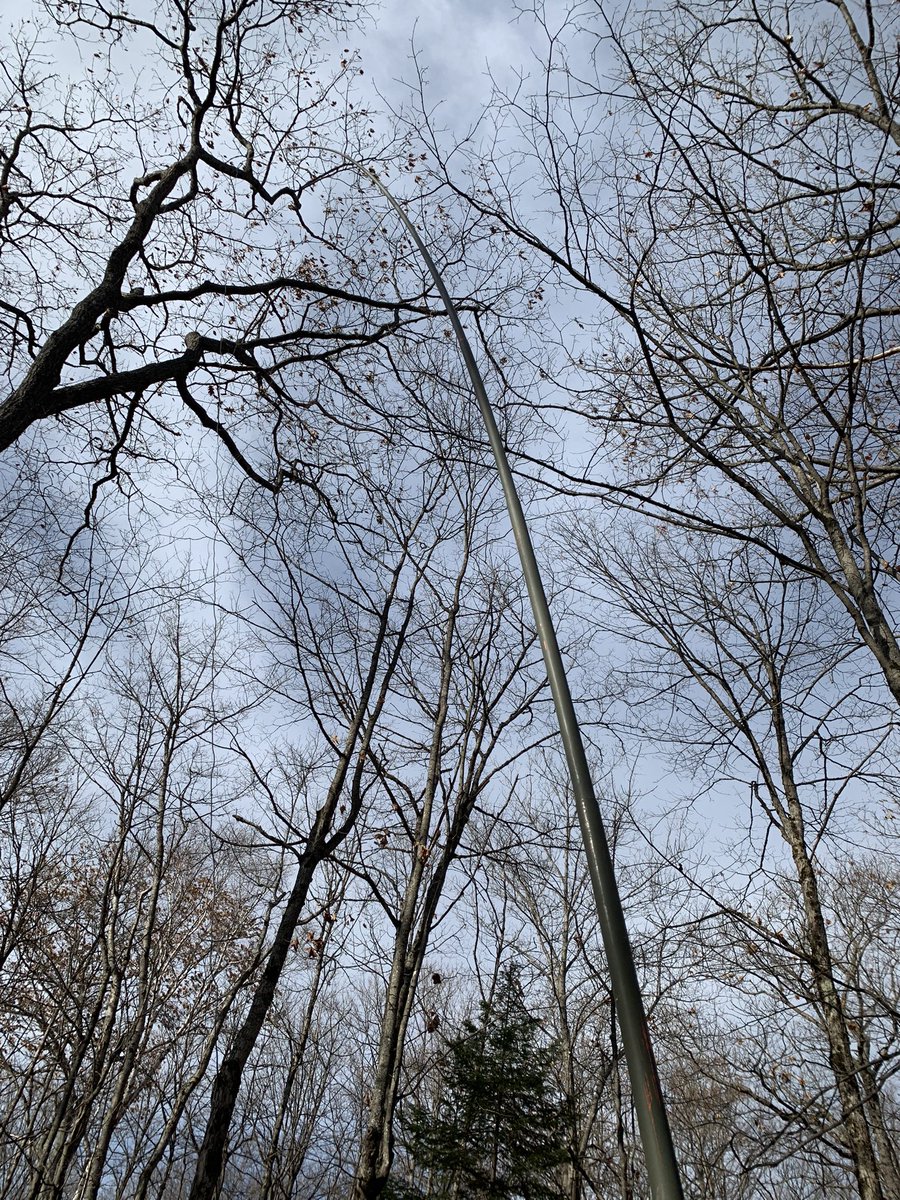 Kieran Shepherd tweet media