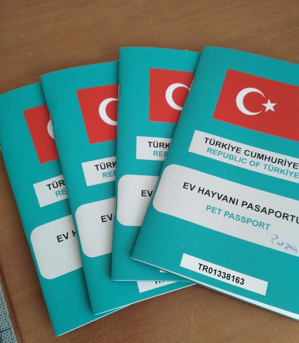 Badiko_'s tweet photo. Çipleri, pasaportları var ama o pasaportta yazan anneleri, Prof. Dr. Günseli Peker  artık yok..Kimseye ait değiller ve ortada kaldılar. Yıllardır yaşadıkları, her yerde  annelerinin kokusu olan  evlerinin bir an önce boşaltılması gerekiyor, kiraya vereceklermiş. Yiğit, Nadide ve Kartopu'nun ne olacağı kimsenin umurunda değil. Lütfen, 3'ünü ortada bırakmamak bu kadar zor olmamalı..
İl: İstanbul / Şişli İletişim :0 538 961 35 59