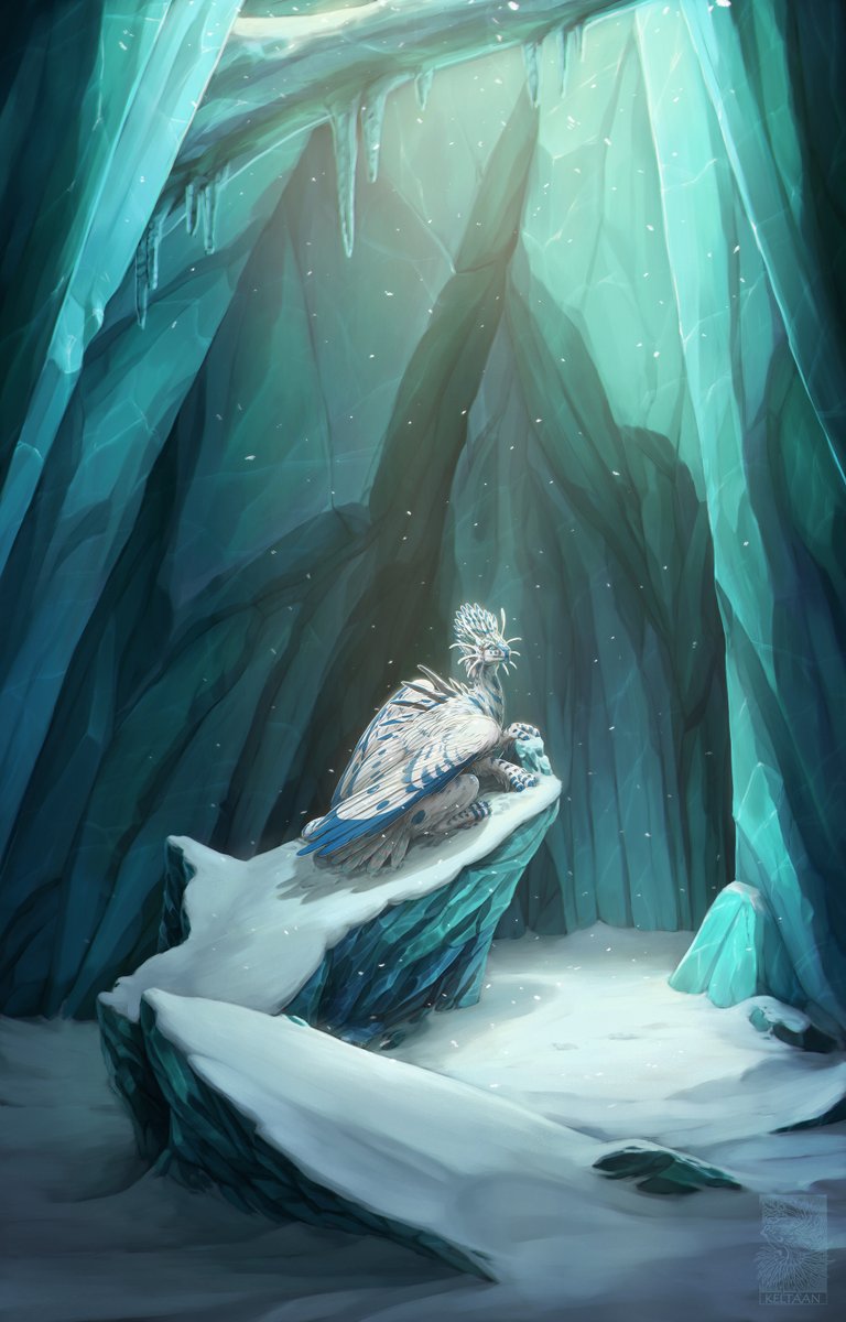 This Place Is a Shelter