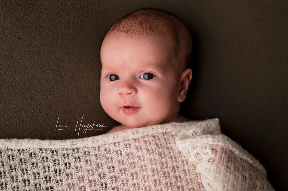 LiesHuyskens's tweet photo. Professioneel newborn fotograaf Zoersel
https://t.co/9SH2QKMyf0
๐ฒ 0474/74.37.75 of
๐จ lies@lieshuyskens.be
#gezinsfotografie #gezinsfotograaf #gezinsfotosessie #gezinsshoot #fotograafzoersel #zoersel #kinderfotograaf #newbornfotografie #newbornfotograaf #newbornshoot #newborn https://t.co/ZraP1CkL0p