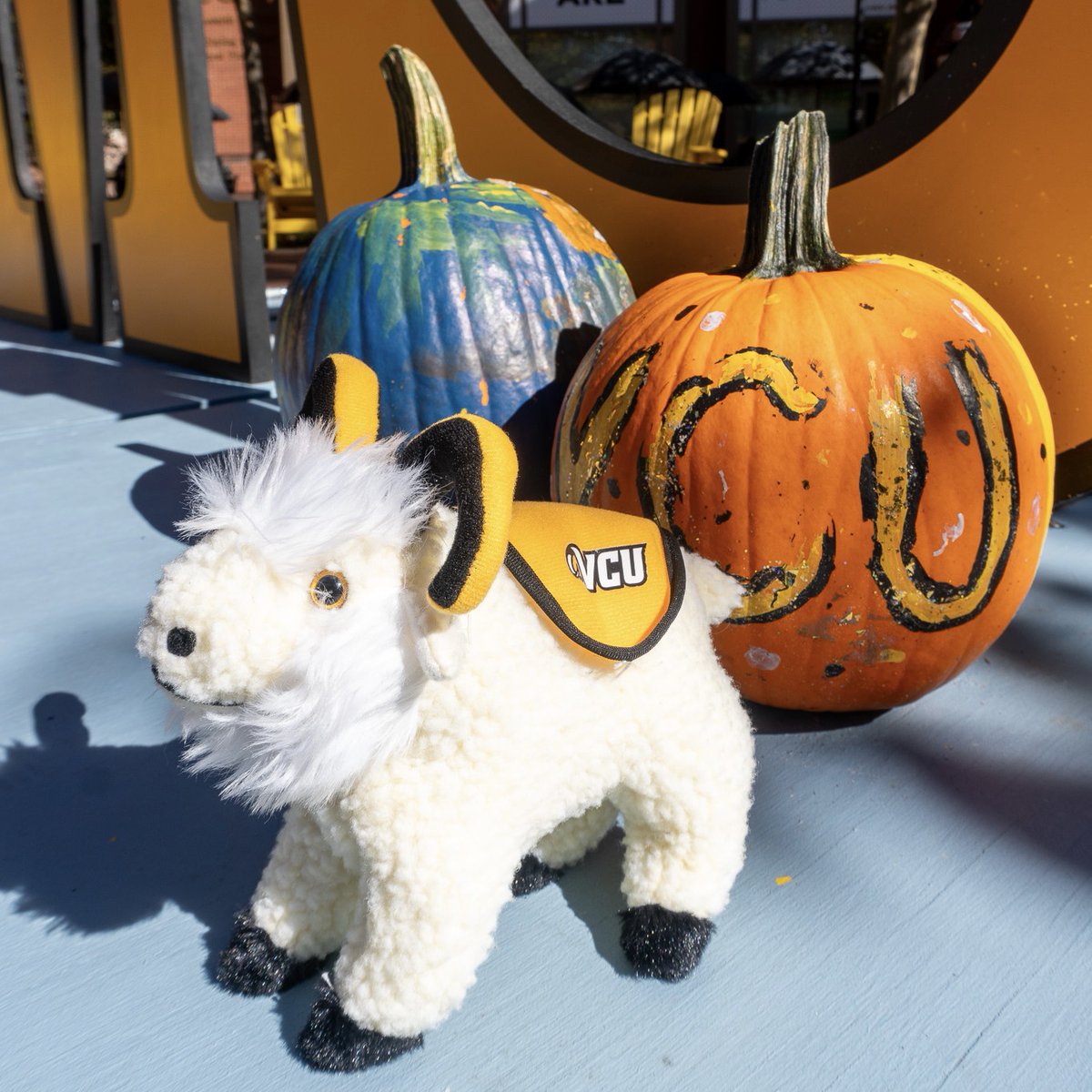 VCU Gear tweet media