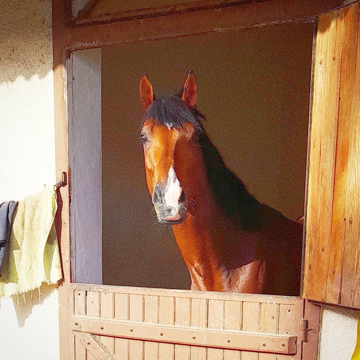 Çok özledim be paşam