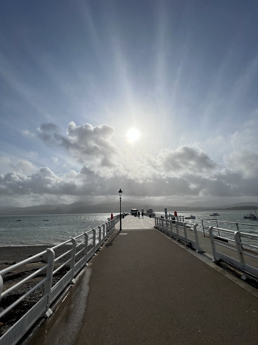 Tim Freeman tweet media