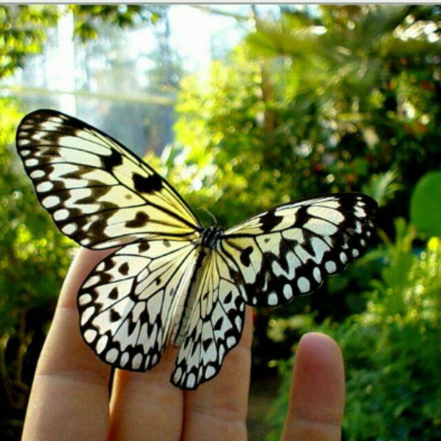 Msuodgorgi Baloch stanl (@msuodgorgi25046) on Twitter photo 