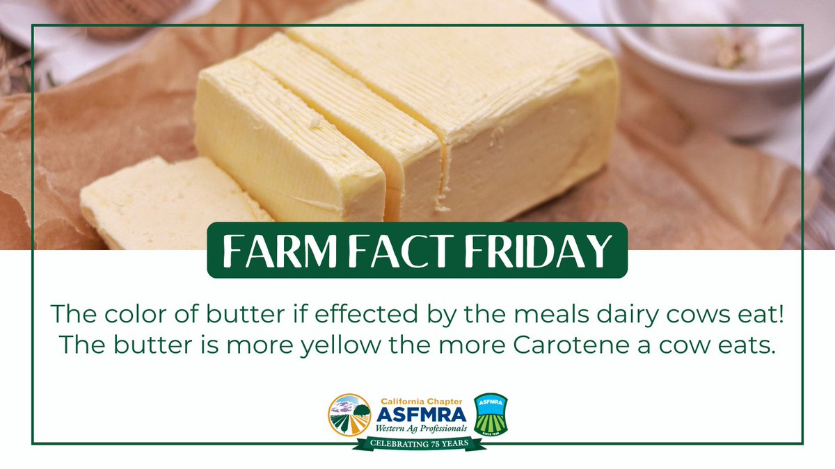 calasfmra's tweet photo. Today is #NationalButterDay and #butter makes everything better!
#calasfmra #asfmra #butterfact #dairycow #ThankAFarmer #yummybutter #FarmFactFriday #FunFactFriday https://t.co/7C8PZPNlPJ