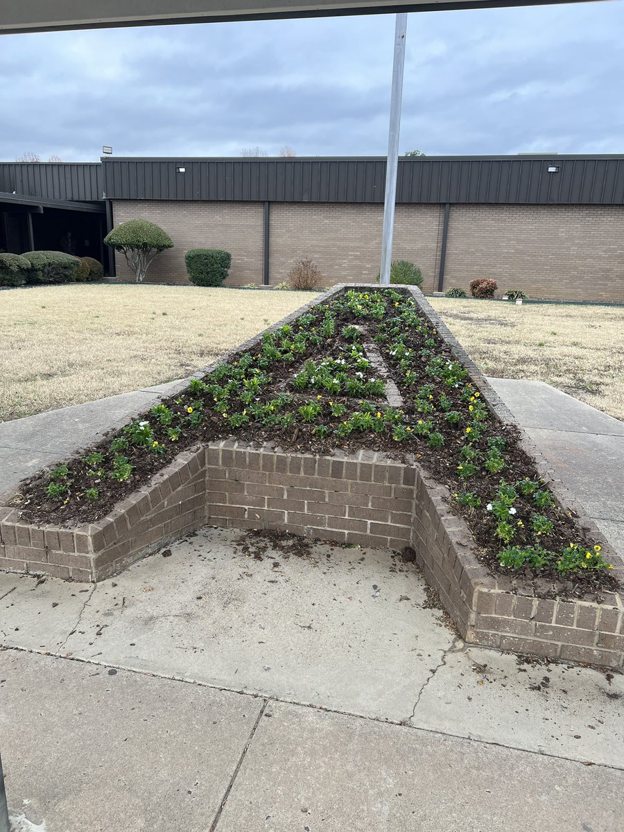 Tracie McCarver tweet media