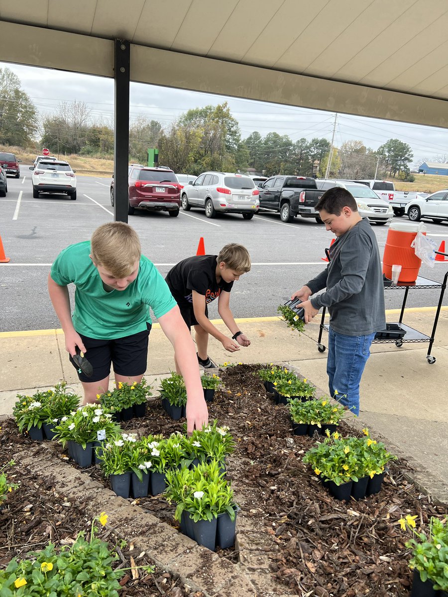 Tracie McCarver tweet media