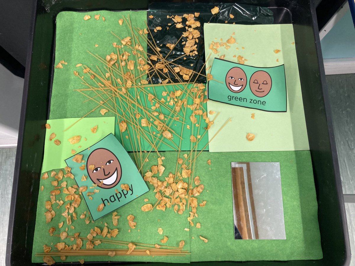 All about the green zone! Today we explored the zones of regulation through bucket and sensory exploration. In this sensory tray, we have different green textures, a mirror to explore their own happy faces and visuals to develop pupils understanding. <a href="/JfkSend/">JFK Special School</a>