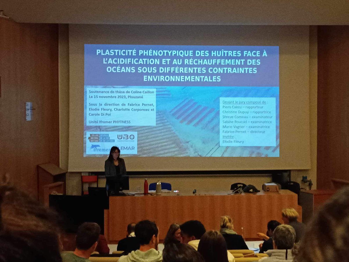 I am proud to share that I successfully defended my PhD thesis yesterday! Thanks so much to my examiners and my great supervisors. 👩🏻‍🎓🐚
Thanks to everyone who has supported me over the years. Excited for what’s next! #PhD #PhDone #marinebiology

<a href="/Ifremer_fr/">Ifremer 🌊</a> <a href="/LemarLab/">LEMAR</a>