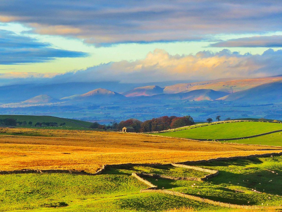 #bedandbreakfastlife #decorating #fellwalking #yorkshiredaleswalks #wildboarfell #westmorlanddales #yorkshiredalesnationalpark #autumnwalks #autumnsunshine #perfectendtotheday #keepeveryonehappy #localwalks #kirkbystephen #Cumbria @VisitEden