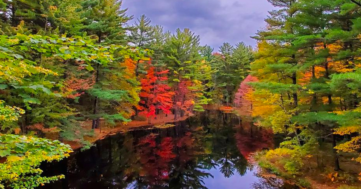 PureMichigan's tweet image. Make Midland your next go-to for all things Michigan. 

puremi.ch/3o3VuSz #PureMichigan #KeepFallFresh #FallFilter