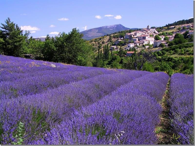 veritebeaute's tweet photo. Provence https://t.co/beioo1dVS1