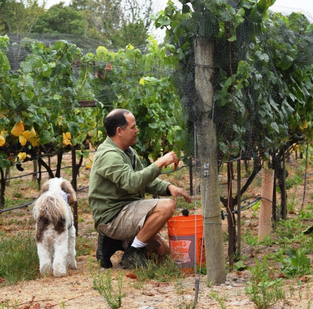 Dave Razzari tweet media