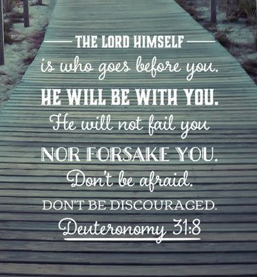 Angelmom337's tweet photo. Happy Thursday Twitter family https://t.co/ujmhtITcDh