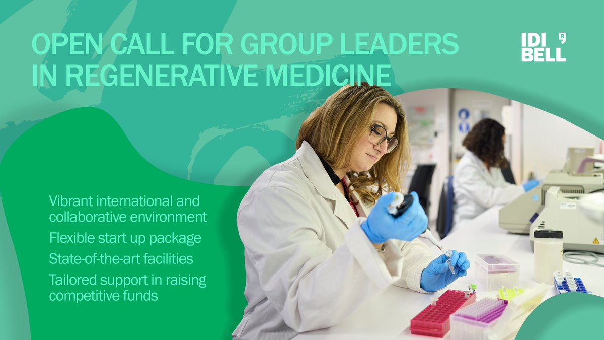 📢 #OPENCALL #sciencejobs
We are looking for group leaders in #regenerative medicine to lead an independent research group👩🏼‍🔬 in a very dynamic health research institute in Barcelona, located in a privileged #clinical context 🧫🩺

📅Apply before 31/12/23
➡️pro.idibell.cat/ConvocatoriasP…
