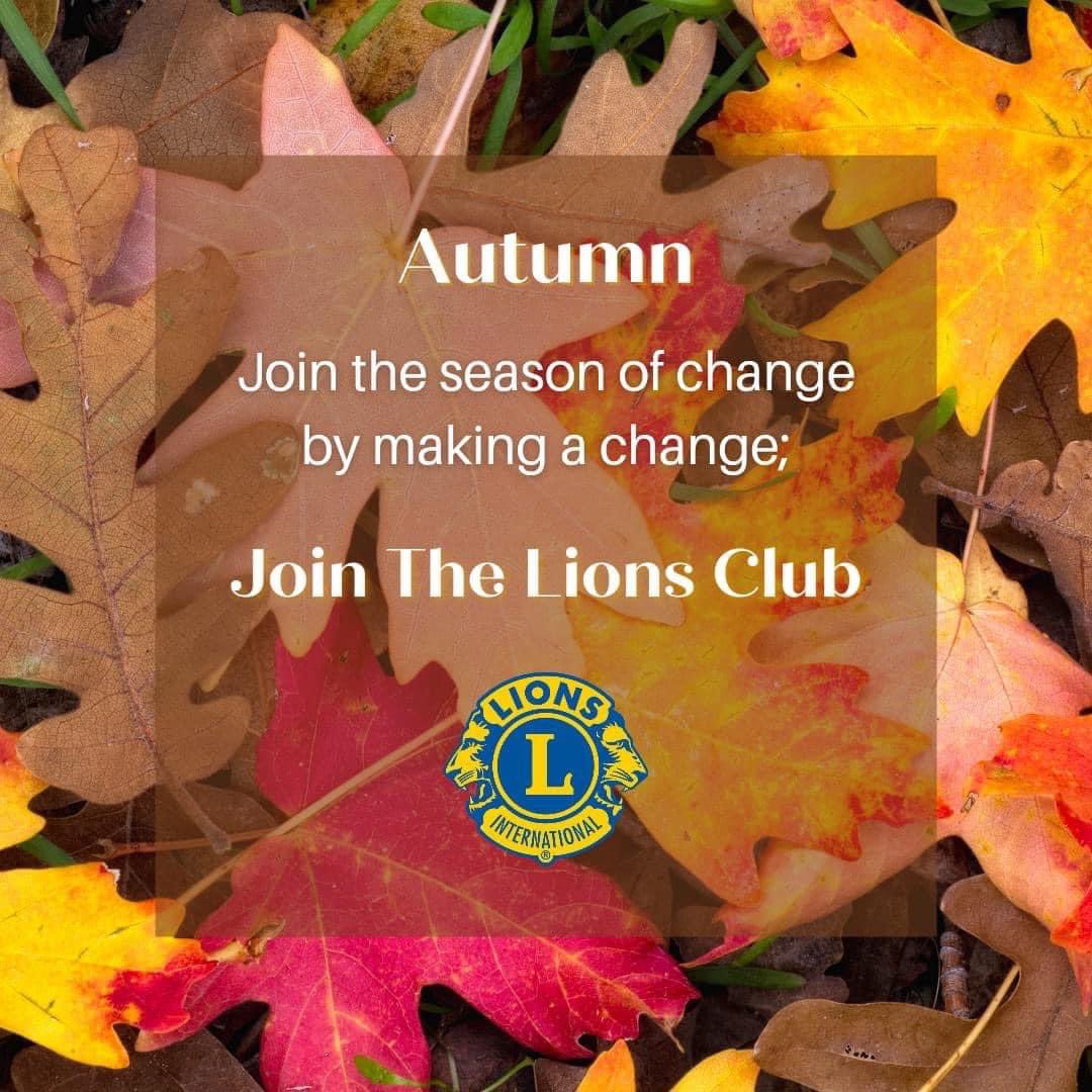 Mt. Vernon Lions Club (@mvialions) on Twitter photo 