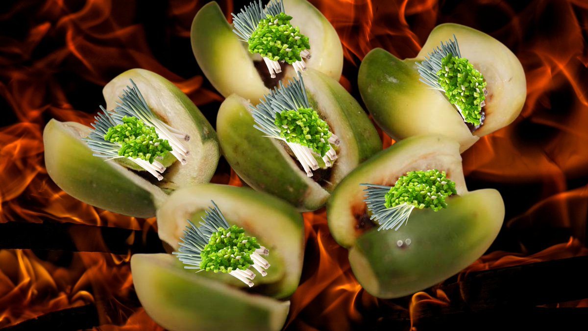 不知道 #咆哮蔥神 這次會花多久時間搞垮廢渣黨～已經有過一次經驗了，熟能生巧這次應該不用花太多時間吧！加油喔😁😁😁

#紅心包蔥檳榔
#廢渣黨獨家販售