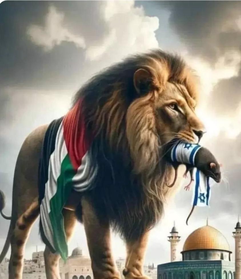 Maria Rajpoot🍹❤ tweet media