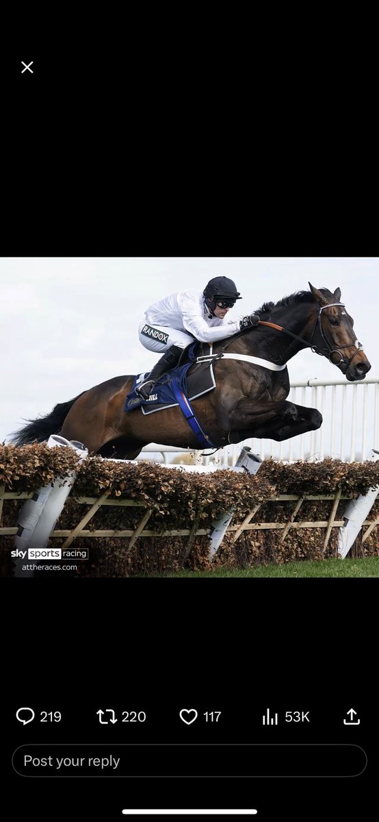 LeeRob_13's tweet photo. @AtTheRaces @NewcastleRaces https://t.co/U4UFN47cgB