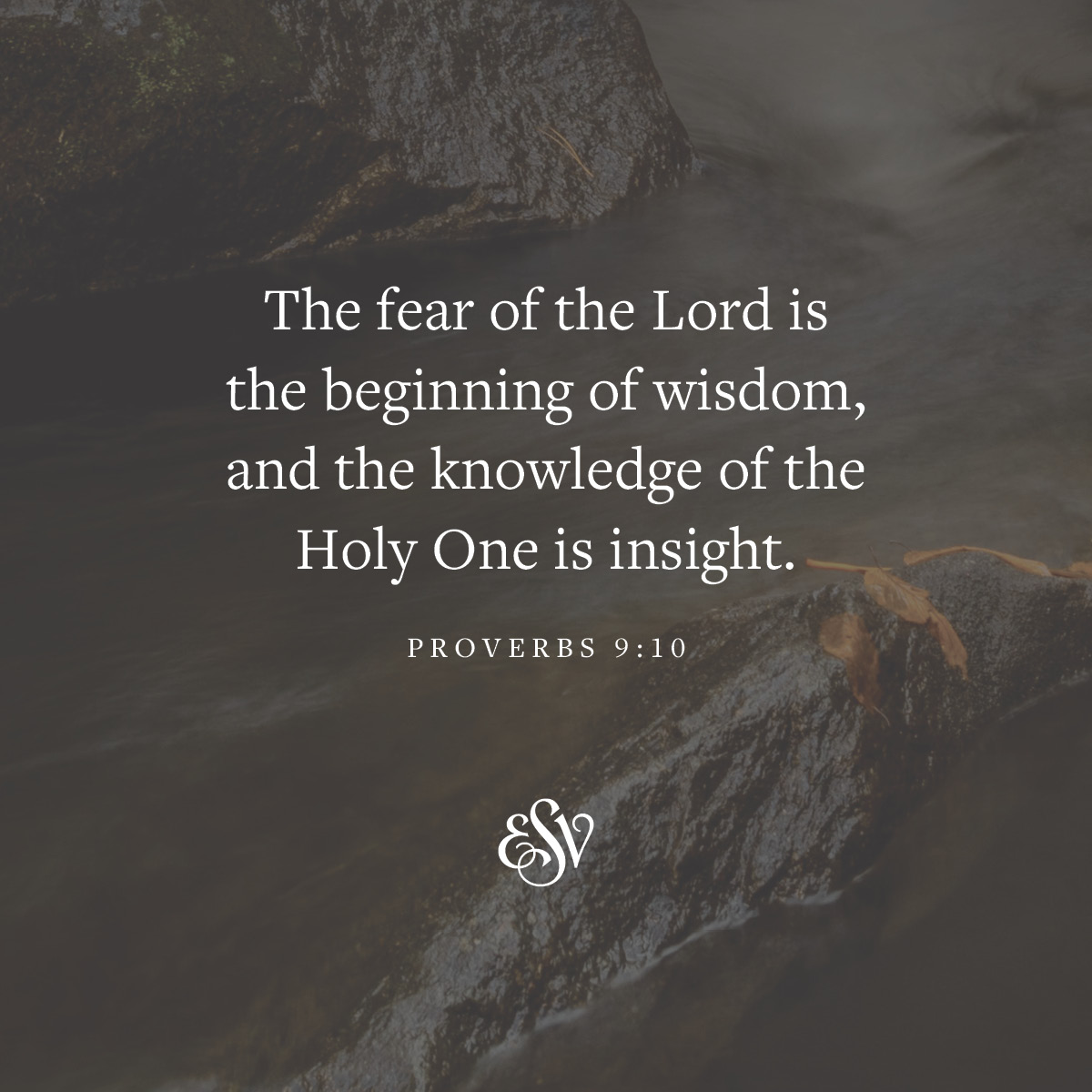 crossway's tweet photo. "The fear of the Lord is the beginning of wisdom, and the knowledge of the Holy One is insight."
—Proverbs 9:10, https://t.co/PKwMaugyaq

#ESV #Bible #VerseoftheDay #Proverbs9 https://t.co/uGAFjBnW6h