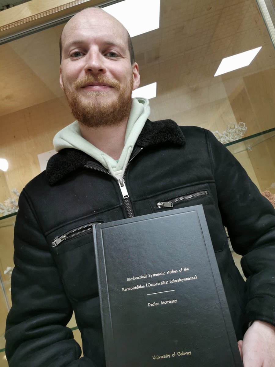 Declan Morrissey tweet media