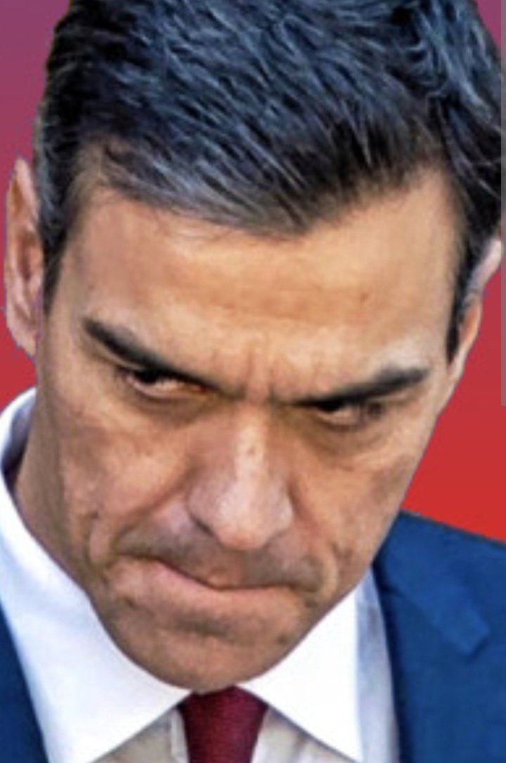 Sondeo Tuitero 

Cree usted que Pedro Sánchez busca destruir a España?

SÍ: 🔄
NO: ♥️
.
.