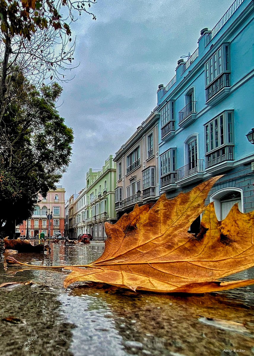 antocoleta67's tweet image. Así es Cádiz desde mi objetivo. 📸📸📸🌅🌅🌅