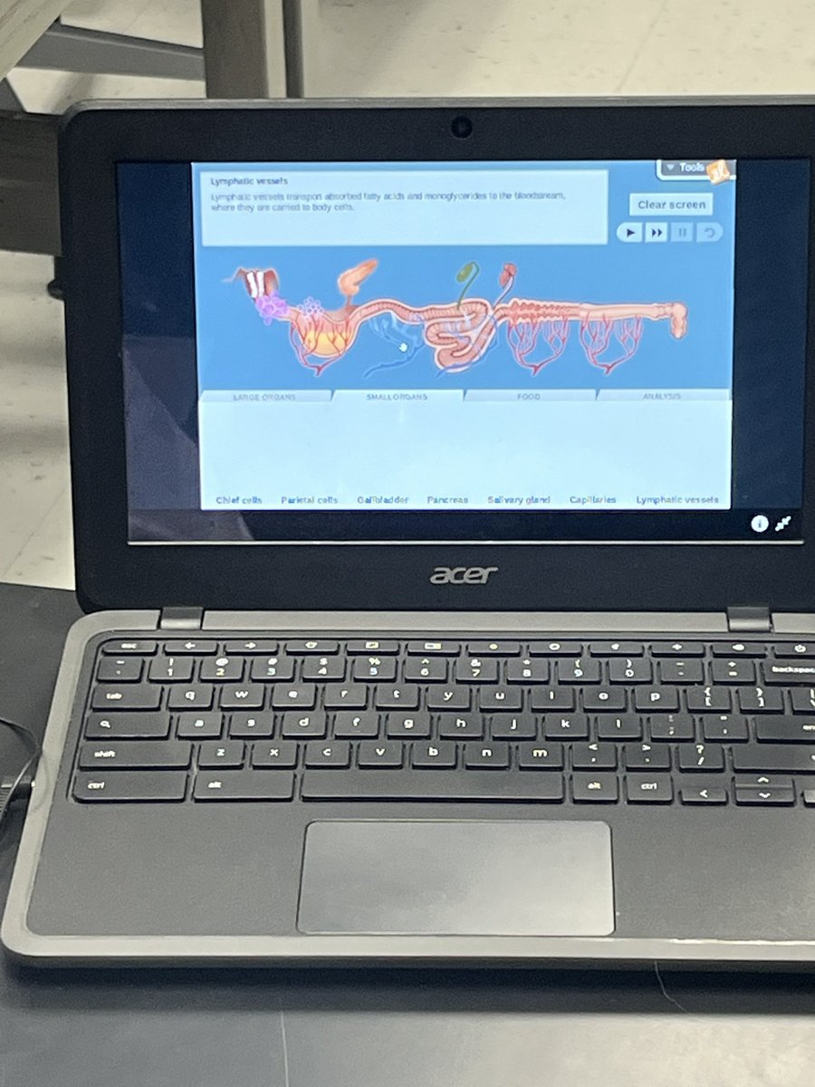 NoahsArkTech's tweet photo. Students at Hays MS are exploring the Digestive System via @ExploreLearning and a smelly, engaging, hands on lab that takes Ss step by step through the process of digestion 😎 #prosperproud #prosperscience https://t.co/V4iiw4zB7S