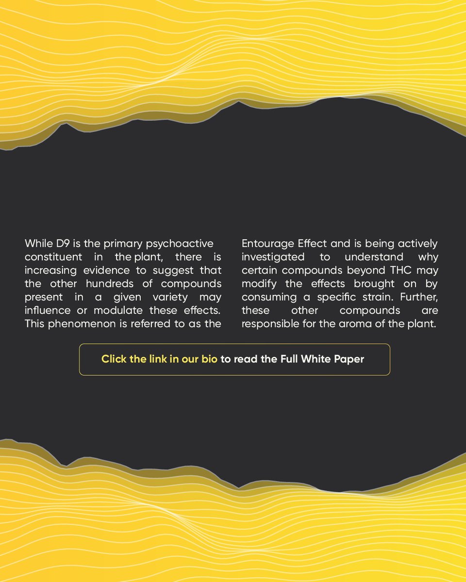 We discovered an entirely new class of Exotic Flavorants including Skatole, Indole, 3-mercaptohexanol, 3-mercaptohexyl acetate, and 3-mercaptohexyl butyrate. Big words for such small compounds.

Learn more by reading our Full White Paper at zurl.co/WJg2   📲