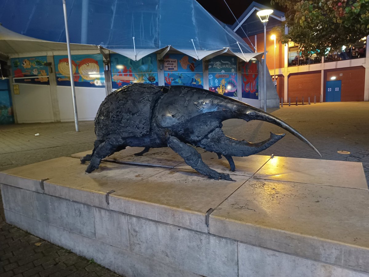 You don't see many insect sculptures in public spaces but this beetle in Bristol is pretty awesome. #coleoptera #beetle #insectart