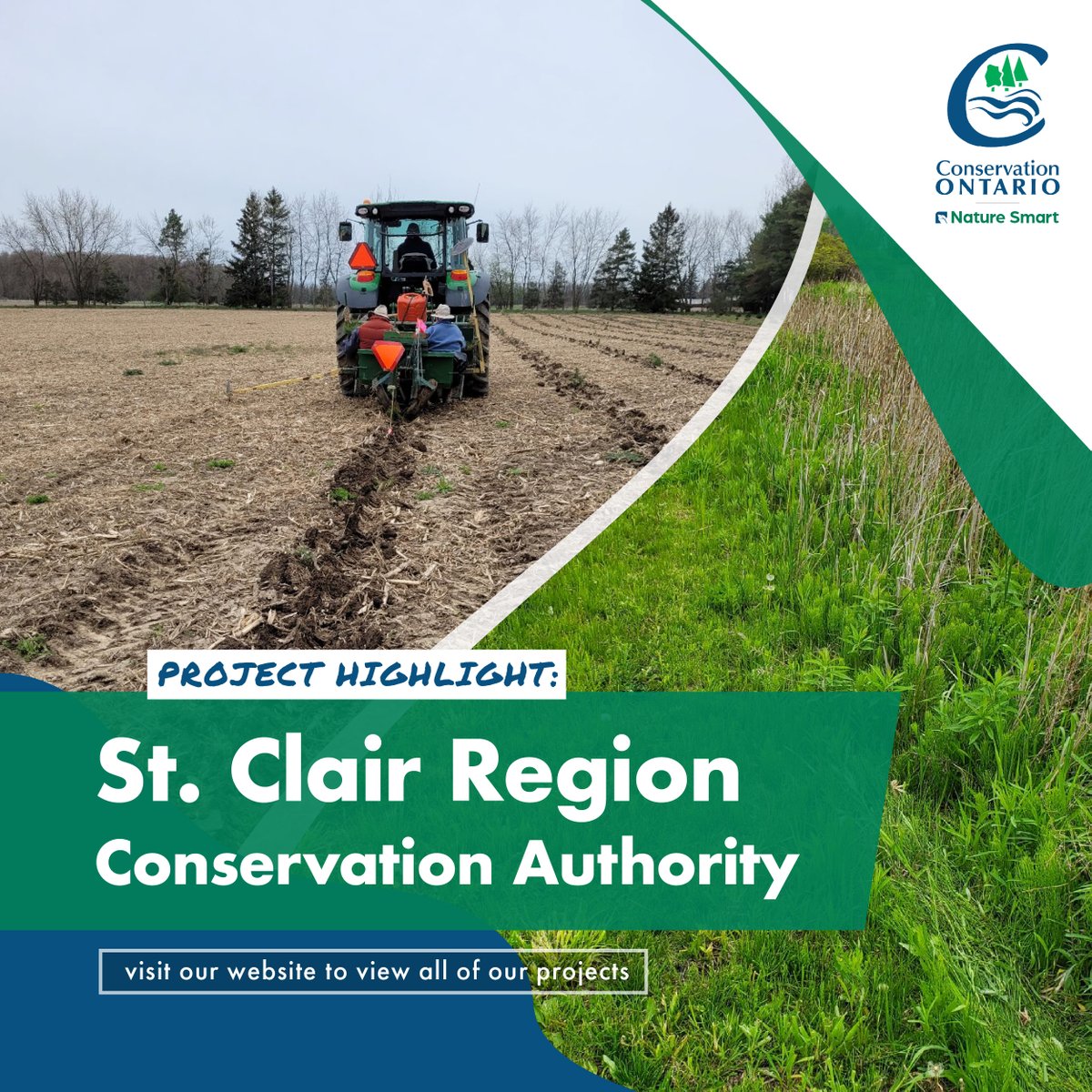 With funding from @environmentca Nature Smart Climate Solutions Fund, @SCRCA_water planted grass buffers in retired cropped riparian areas. Restored grass buffers lower erosion and boost carbon sequestration.
conservationontario.ca/policy-priorit…
#NatureRestores #NaturalChampions