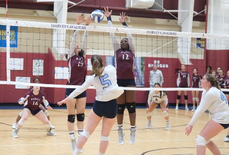 NEPSAC volleyball tourney update: No. 6 seed Cavs to face No.2 seed Canterbury <a href="/CburyAthletics/">Canterbury Athletics</a> Saturday at 2 p.m. in a Class C semifinal. Harvey advancing after beating No. 3 seed Montrose School Wednesday, 3-0. #GoCavs #HarveyPride <a href="/lohudsports/">lohud sports</a> <a href="/HaggertyNancy/">Nancy Haggerty</a> <a href="/ChrisDelCampo1/">Chris DelCampo</a> 
.