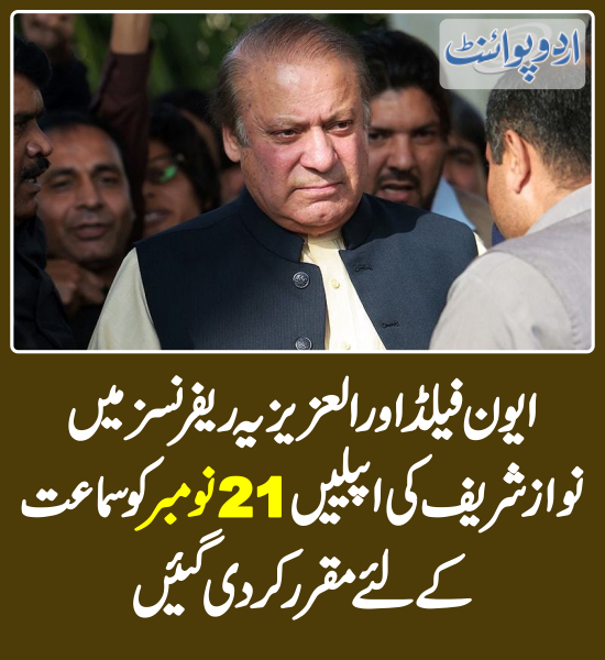 DailyUrduPoint's tweet photo. ایون فیلڈ اور العزیزیہ ریفرنسز میں نوازشریف کی اپیلیں 21 نومبرکو سماعت کیلئے مقرر
https://t.co/CI95nQK7Cs

@NawazSharifMNS
#AvenfieldReference #AlAziziaReference #NawazSharif #IslamabadHighCourt https://t.co/CdaPkQQh9G