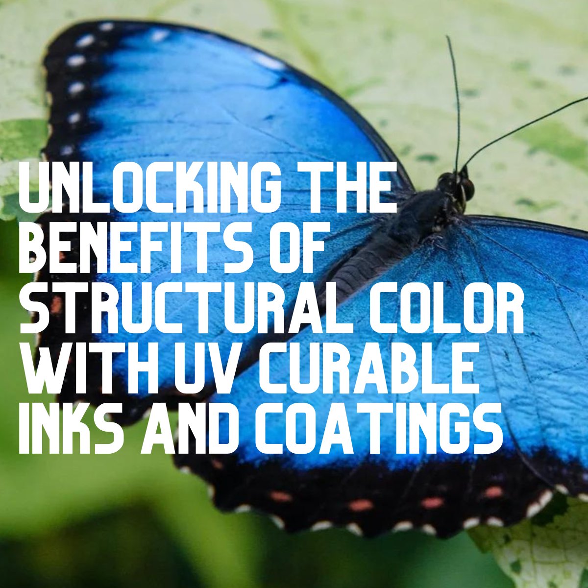Thank you to Ryan Pearson, PhD with Cypris Materials, Inc. for a fantastic webinar yesterday on Unlocking the benefits of Structural Color with UV curable inks and coatings based on novel brush block copolymer technology.

Watch the video here: ow.ly/eWvF50Q8n20