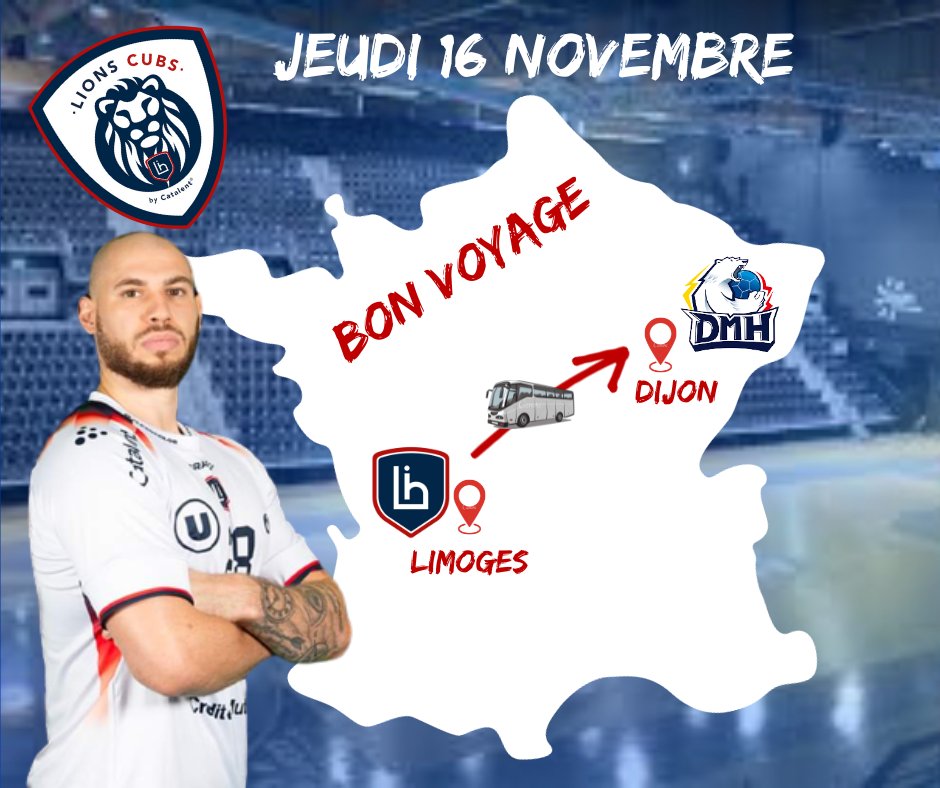 Lions Cubs (@lions_cubs) on Twitter photo 