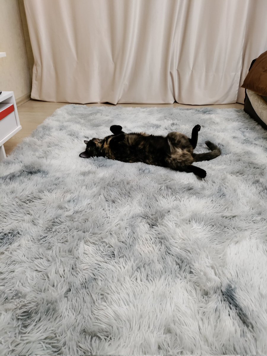 ХмурыйМонах tweet media