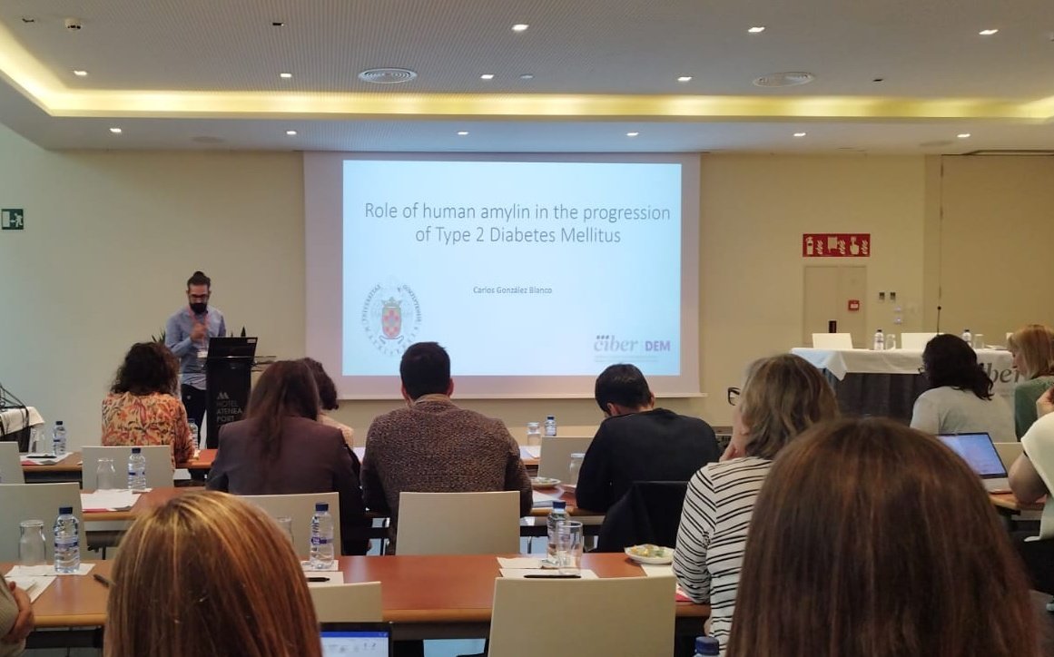 GuillenLab's tweet image. Ayer tuvimos el honor de poder presentar nuestro último trabajo sobre la amilina humana en el IV Simposio de Jóvenes Investigadores del @ciberdem de la mano de nuestro predoctoral senior Carlos González. ¡Muchas gracias por la maravillosa jornada llena de ciencia!
