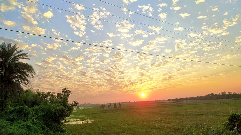 DisaniHalder's tweet photo. Nature's is so beautiful beyond imagination 💛 https://t.co/VvAJcidCz8