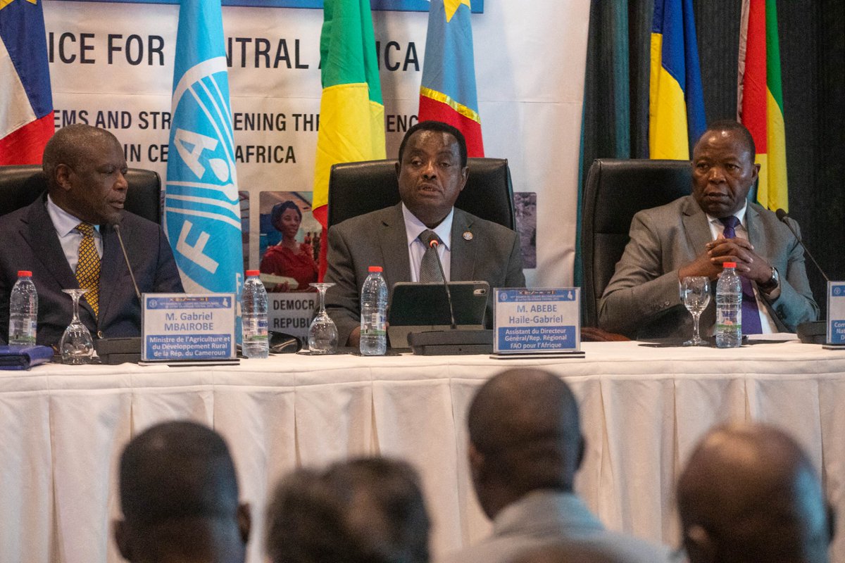 Yaoundé Clôture de la 16ème Réunion de l'Equipe Multidisciplinaire du Bureau Sous Regional de la #FAO en Afrique Centrale. Gabriel MBAIBORE, Ministre de l'Agriculture et du Développement Rural du Cameroun appelle à plus d'implication du secteur privé dans le secteur Agricole.