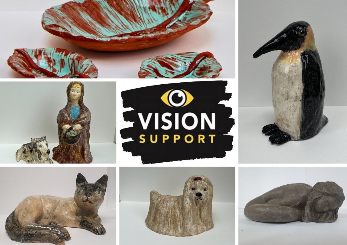 Vision Support HGTE tweet media