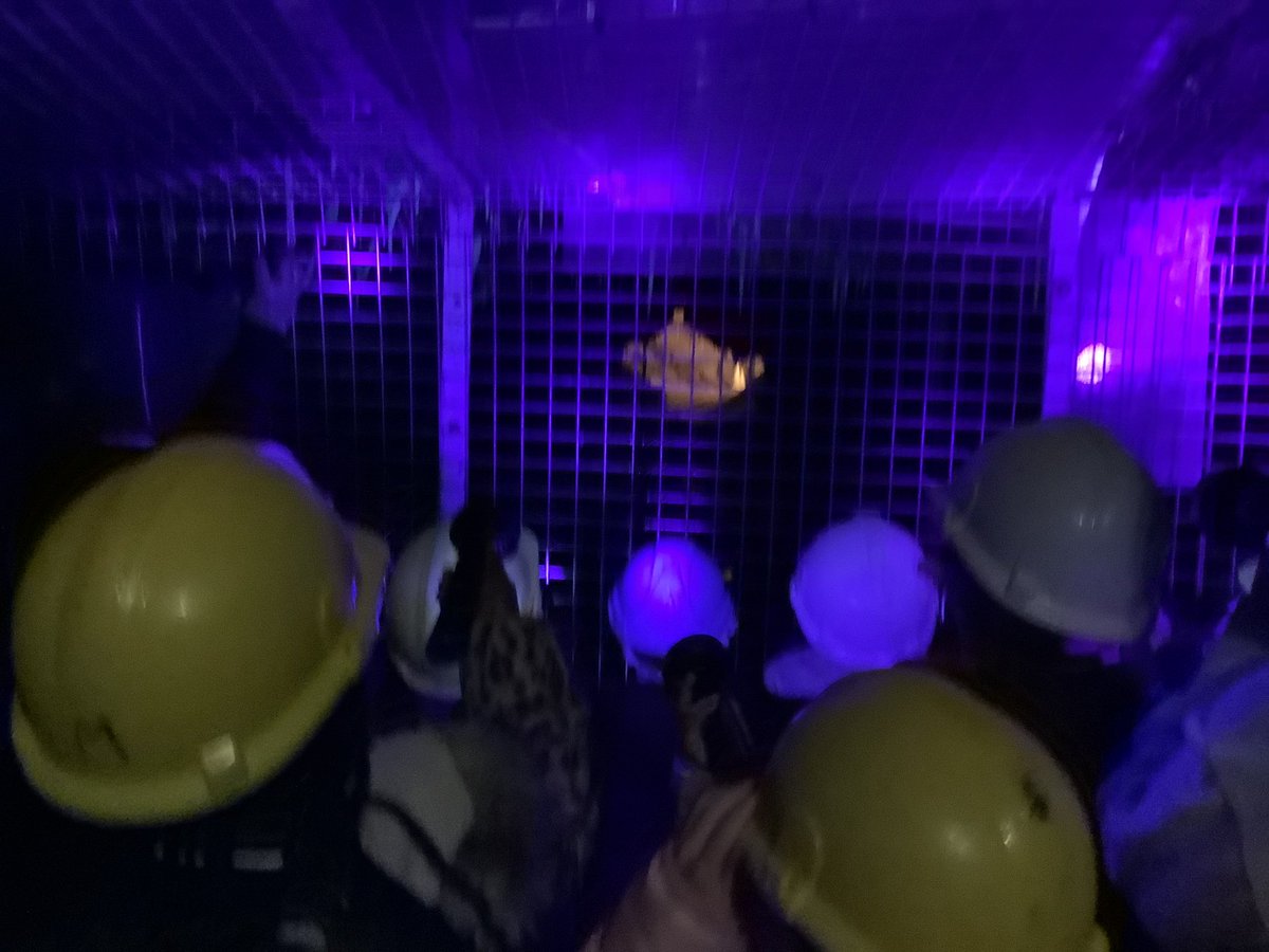 IPMATTowngate's tweet photo. #Year3tpa, have had a fantastic time visiting Stump Cross Caverns at Pateley Bridge. We explored the limestone caves, saw the stalactites and stalagmites and learned lots about fossils and the Stone Age. #sciencetpa, #historytpa, #enrichmenttpa. https://t.co/zmcvFNJm71