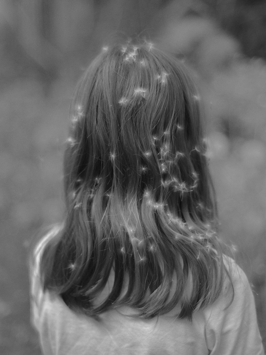 Isarusphoto's tweet photo. Ronja with dandelions on her hair https://t.co/wroSOt2lSO