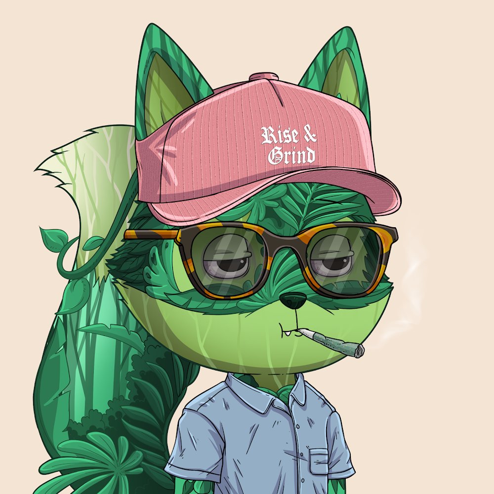 Leetle.Mako tweet media
