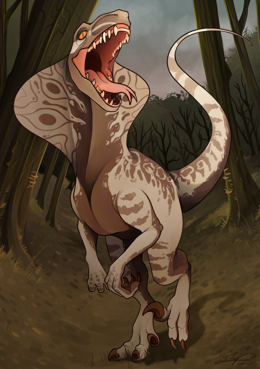 Zomb (Gremlin King) tweet media