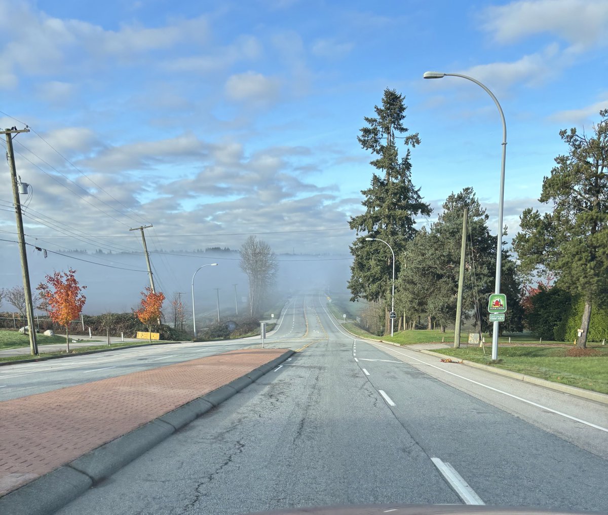 Driving into the foggy unknown.