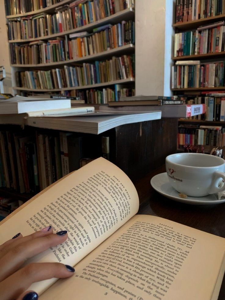 “Every book in a bookstore is a fresh beginning. Every book is the next iteration of a very old story.”

— Liam Callanan